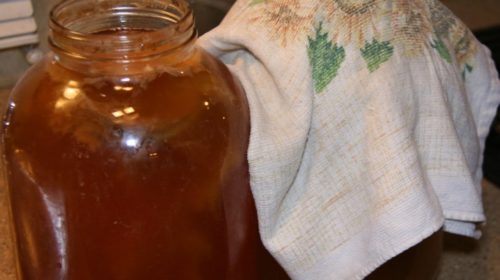 Probiotic Kombucha Tea