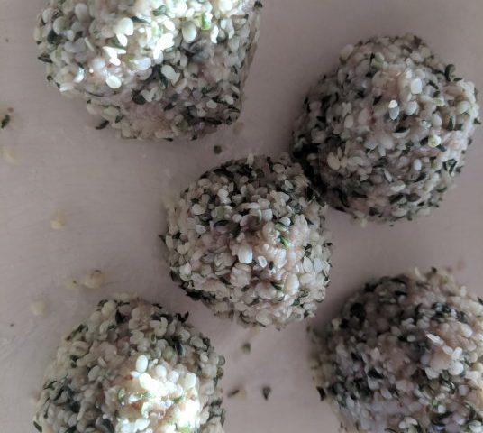 Coconut – Hemp Seed Balls – Raw and Gluten free