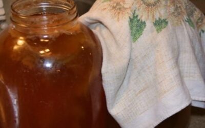 Probiotic Kombucha Tea