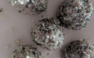 Coconut – Hemp Seed Balls – Raw and Gluten free